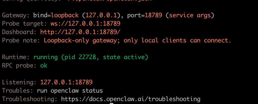 image-20260212160034761